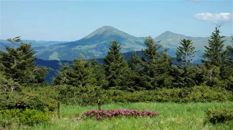 Carpathian mountains landscape view time lapse. Clouds above mountains glade Stock Footage 59728016