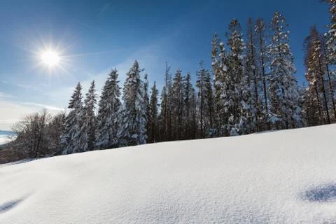 Carpathian mountains Stock Photos