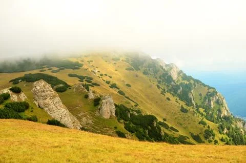Carpathian mountains Stock Photos