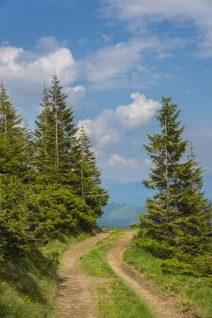 Carpathian mountains Stock Photos
