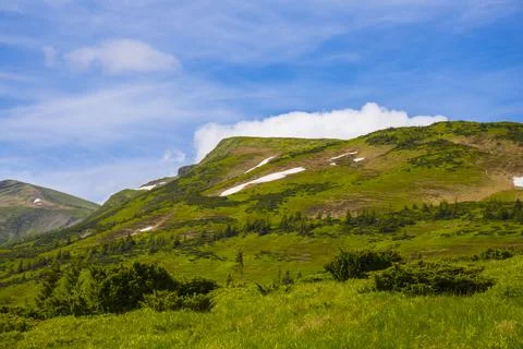 Carpathian mountains Stock Photos