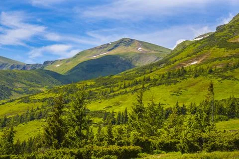Carpathian mountains Stock Photos