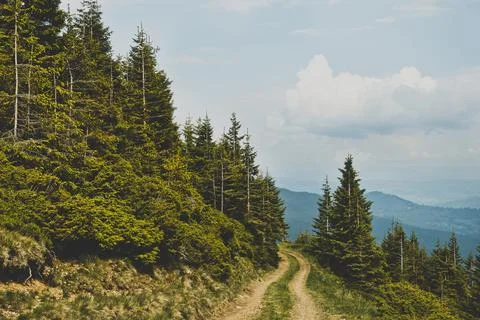 Carpathian mountains Stock Photos
