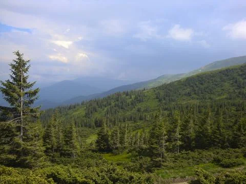 Carpathian mountains Stock Photos