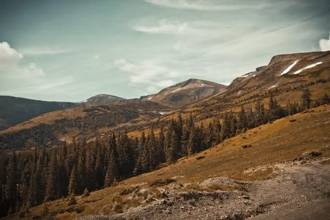 Carpathian mountains Stock Photos