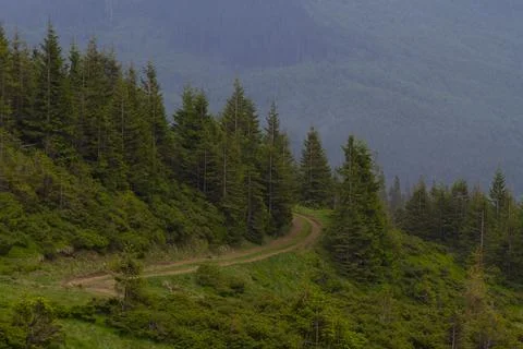 Carpathian mountains Stock Photos