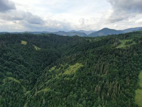 Carpathian Mountains Foto stock