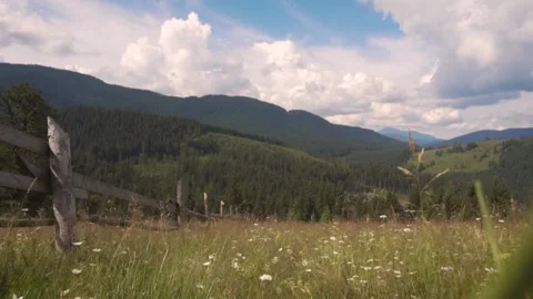 Carpathian mountains in summer. Fields of grass and flowers bloom. Slow motion Stock Footage 149327735