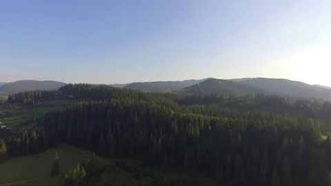Carpathian mountains with trees Ukraine by drone Stock Footage 112390778