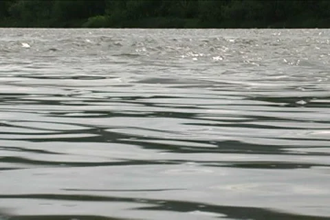 The Carpathian River Stock Footage 5642964