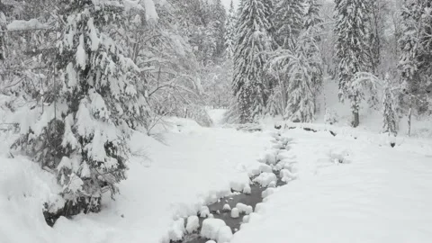 Carpathian River in winter Stock Footage 170772835