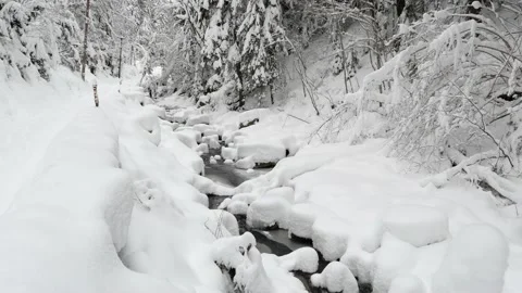 Carpathian River in winter Stock Footage 170772930
