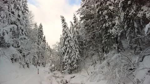 Carpathian River in winter Stock Footage 170773012