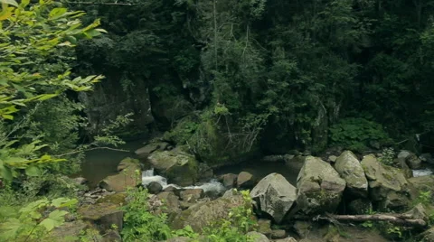 Carpathian rocky river Stock Footage 55875370