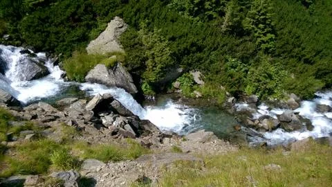 Carpathian stream 写真素材