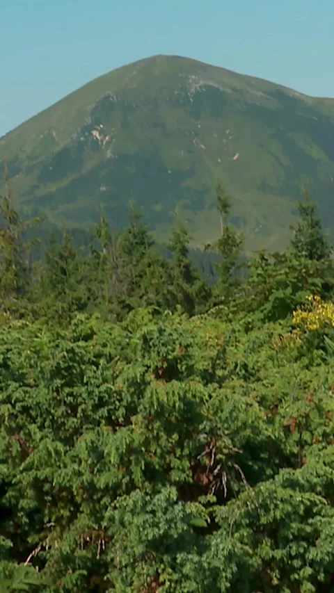 Carpathians Stock Footage 346227845