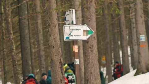 CARPATHIANS, HOVERLA, UKRAINE. Close-up of the pointer showing the direction to Video stock 240330474