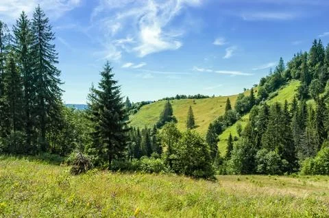 Carpathians landscape 스톡 사진
