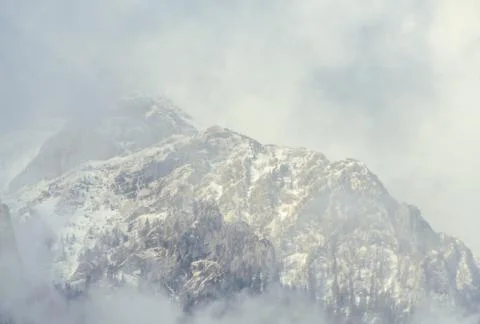 Carpathians Mountain range with pine forest and fog, winter time with snow Stock Photos