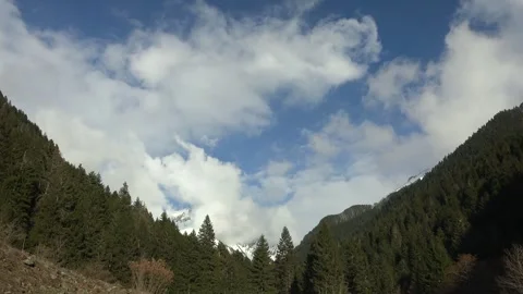Carpathians mountain valley shows pine forests below snowy peaks as clouds clear Stock Footage 339486221