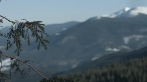 Carpathians Mountains and forest Stock Footage 86700235