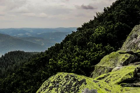 Carpathians: view from the mountain Stock Photos