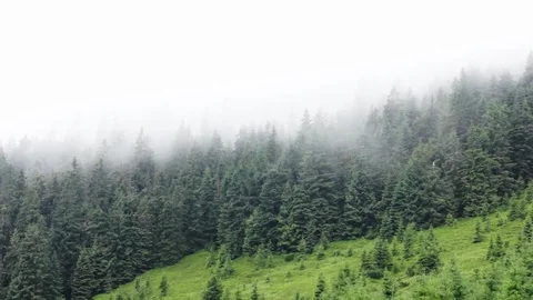 Carpatian Mountain under cloudy sky Stock Footage 113284260