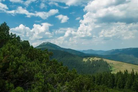 Carpatian 스톡 사진