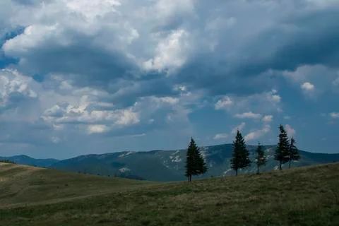 Carpatian Stock Photos