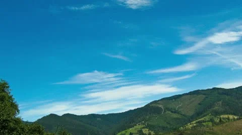 Carpation view 720p Stock Footage 10711914