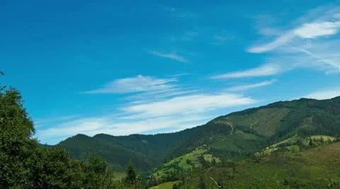 Carpation view Stock Footage 10711893