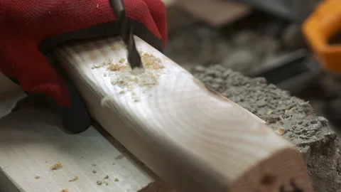 Carpenter 26 Видео 299700565