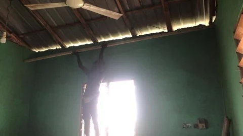 Carpenter Begins Ceiling Installation in Residential Room Stock Footage 319924234