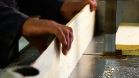 Carpenter chopping wood in workshop Vidéo 106019688