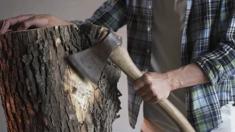 Carpenter cleans stump from bark with axe Stock Footage 130636551
