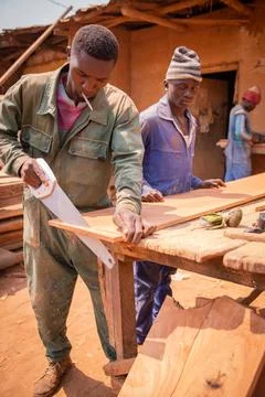 A carpenter cuts a board with a handsaw while his colleague watches. Stock Photos