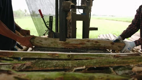 Carpenter cutting a large tree log using an industrial band saw at a rural .. Video stock 336996004
