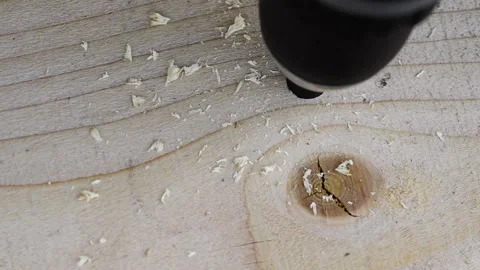 Carpenter drilling a pilot hole with a countersunk drill bit Stock Footage 184911523