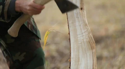 Carpenter Video stock 590388