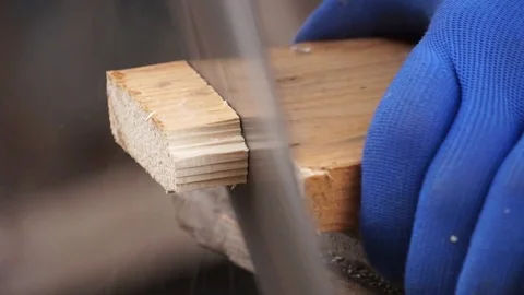 Carpenter Stock Footage 81783505