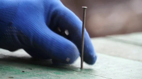 Carpenter Stock Footage 81783528