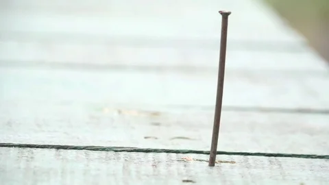 Carpenter Stock Footage 81783634