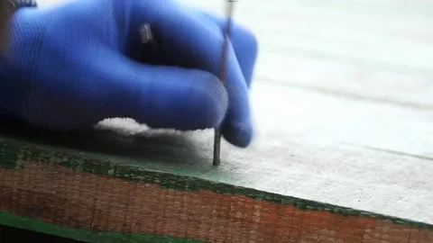 Carpenter Stock Footage 81783689