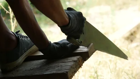 Carpenter Stock Footage 137294877