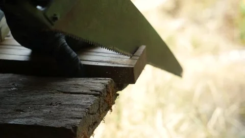 Carpenter Stock Footage 137294891