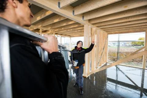 Carpenter Gesturing While Colleague Carrying Ladder At Construct Stock Photos