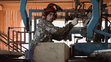 Carpenter in helmet cutting timber log on industrial saw workbench Stock Footage 85475974