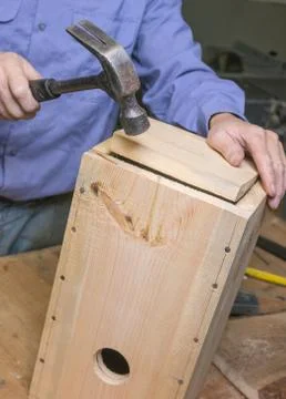 Carpenter inserts the bottom of the birdhouse Foto stock