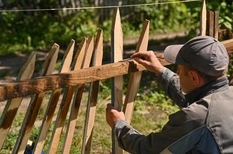 A carpenter marks out boards for making a fence in the garden. Stock Photos