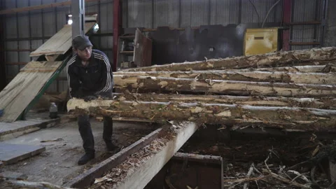 Carpenter Moves Log Material For Wooden Boards Production At Industrial Factory Stock Footage 165220197
